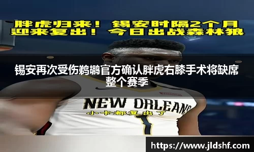 锡安再次受伤鹈鹕官方确认胖虎右膝手术将缺席整个赛季
